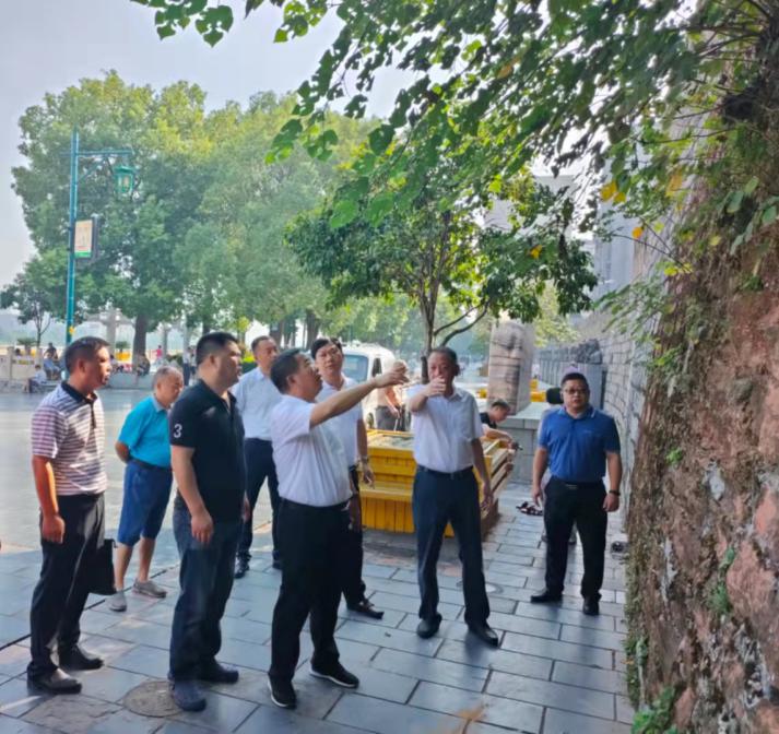 省文物局来我区调研文物保护与利用工作(图2)